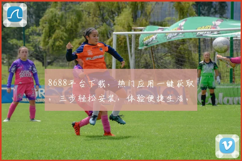 8688平台下载，热门应用一键获取，三步轻松安装，体验便捷生活，不容错过
