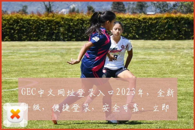 GEC中文网址登录入口2023年，全新升级，便捷登录，安全可靠，立即体验