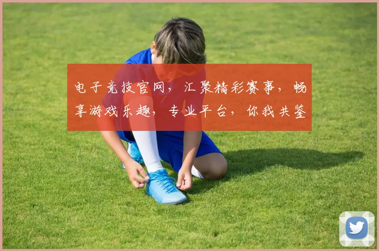 电子竞技官网，汇聚精彩赛事，畅享游戏乐趣，专业平台，你我共鉴